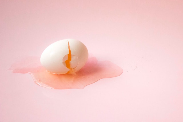 Jajko w diecie psa – czy pies może jeść jajko?