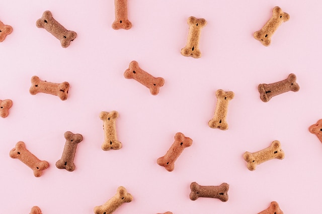 Jakie kości są najlepsze dla psa do żucia? - jak wybrać kości dla psa do gryzienia